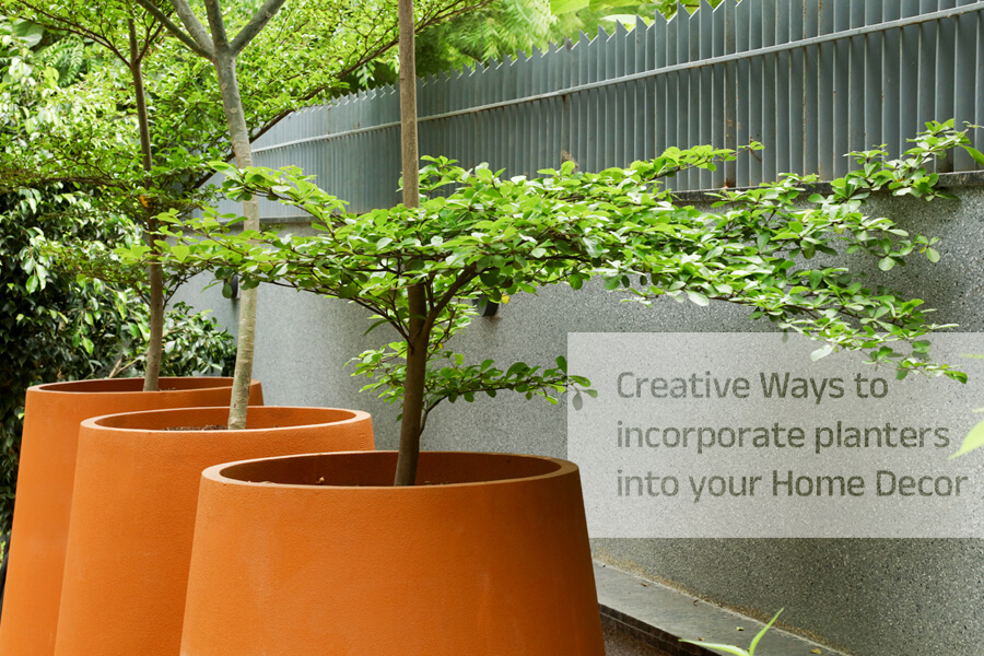 Creative Ways to Incorporate Planters into Your Home Decor