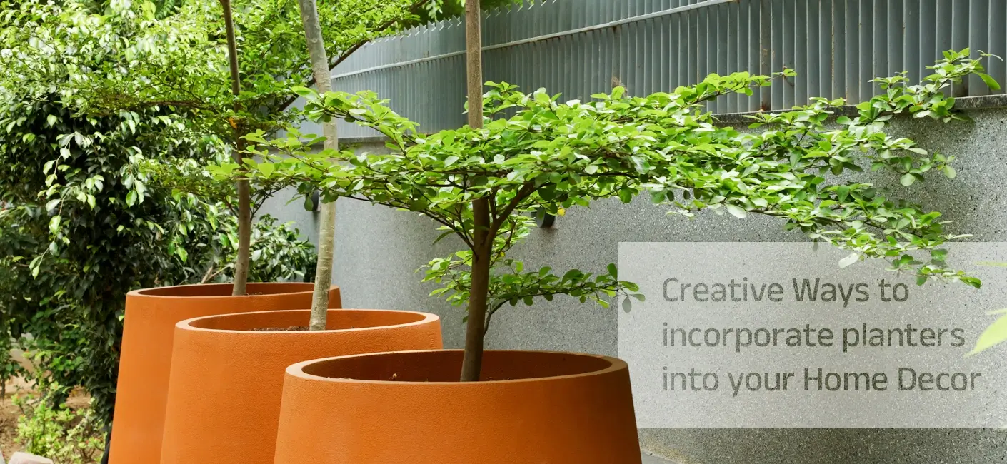 Creative Ways to Incorporate Planter