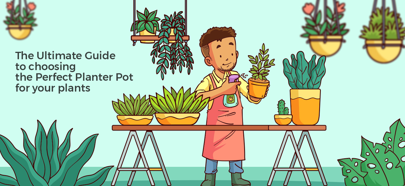 The Ultimate Guide to Choosing the Perfect Planter Pot for Your Plants