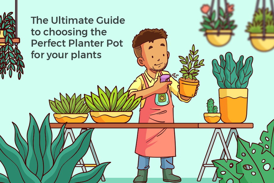 The Ultimate Guide to Choosing the Perfect Planter Pot for Your Plants
