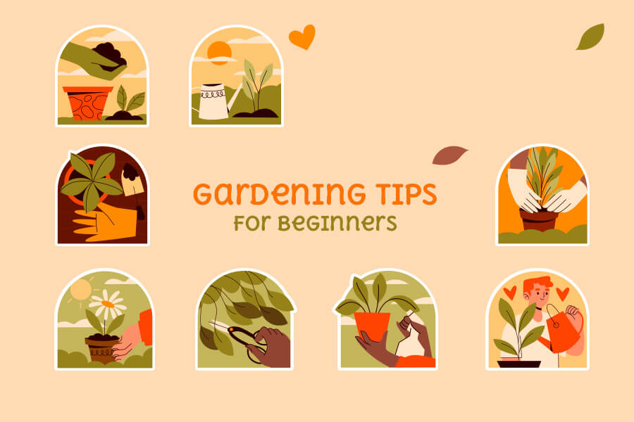 Top 10 Gardening Tips for Beginners That You Should Know