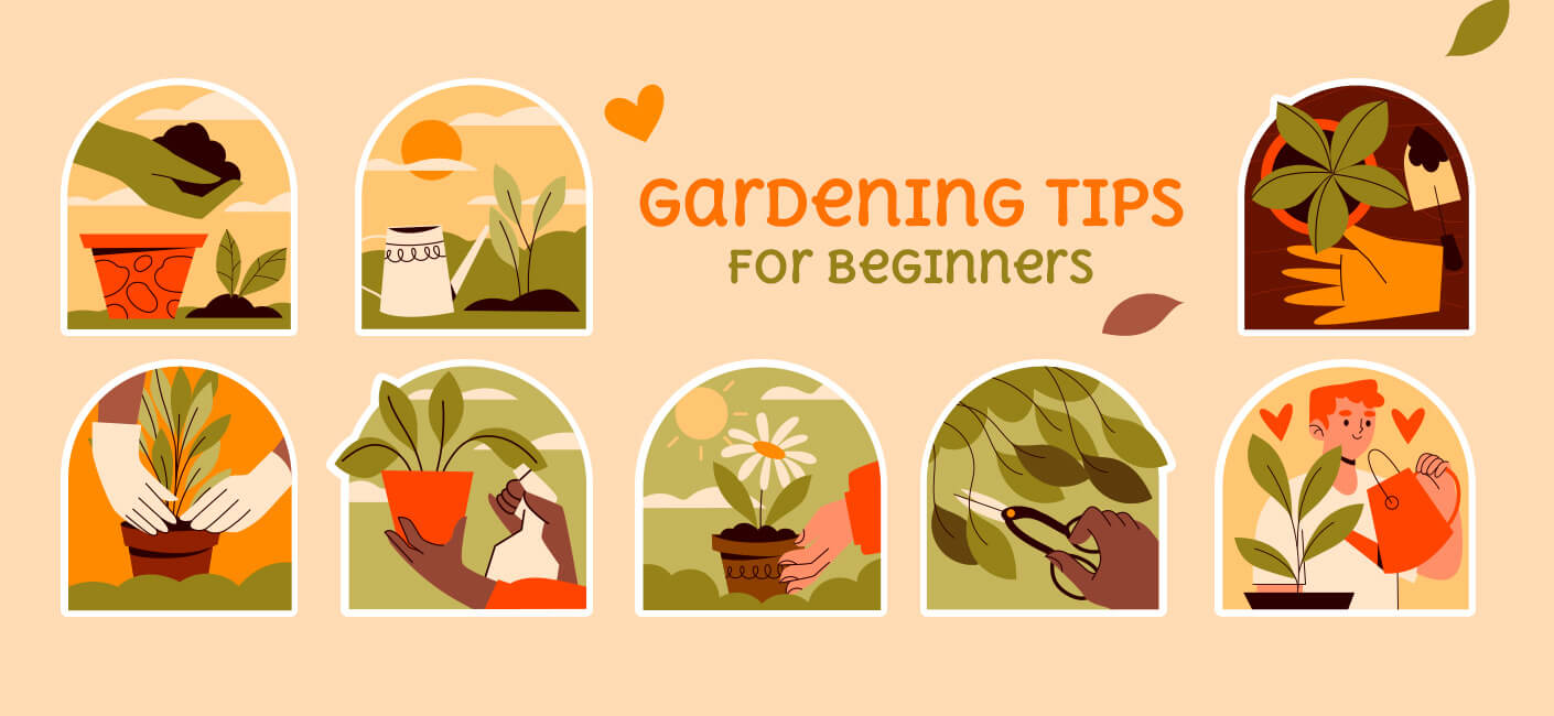 Top 10 Gardening Tips for Beginners That You Should Know