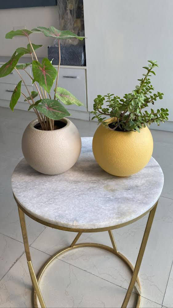 designer garden pots