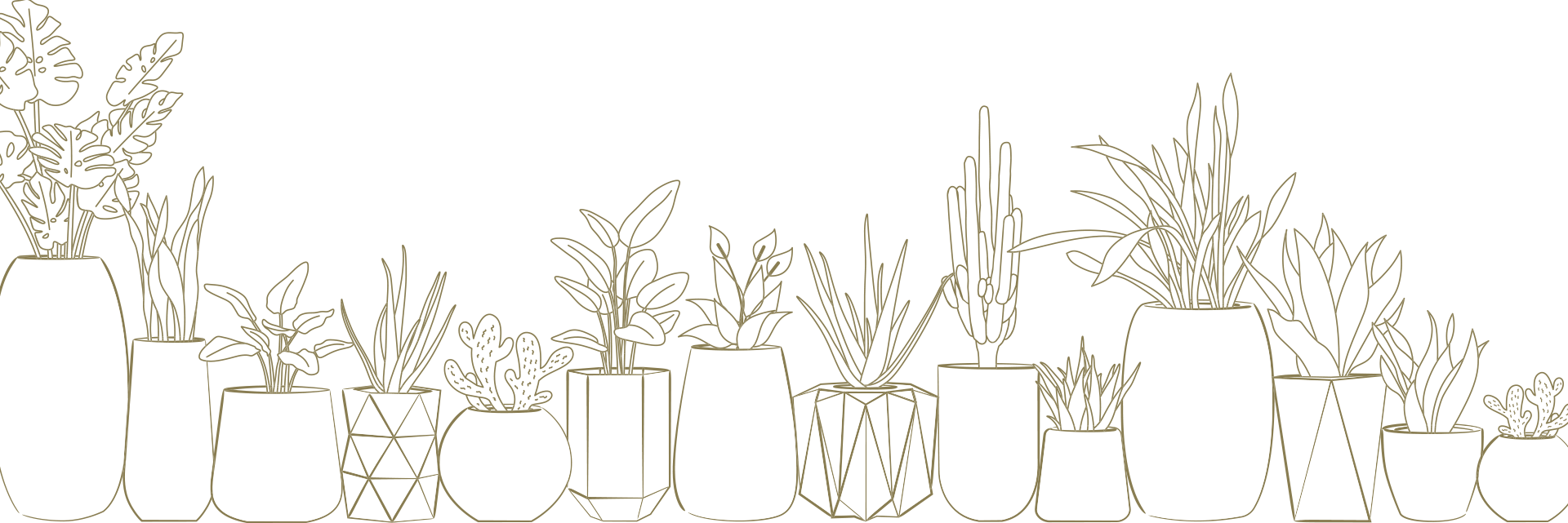 Line Drawing of fiberglass planters from bonasila