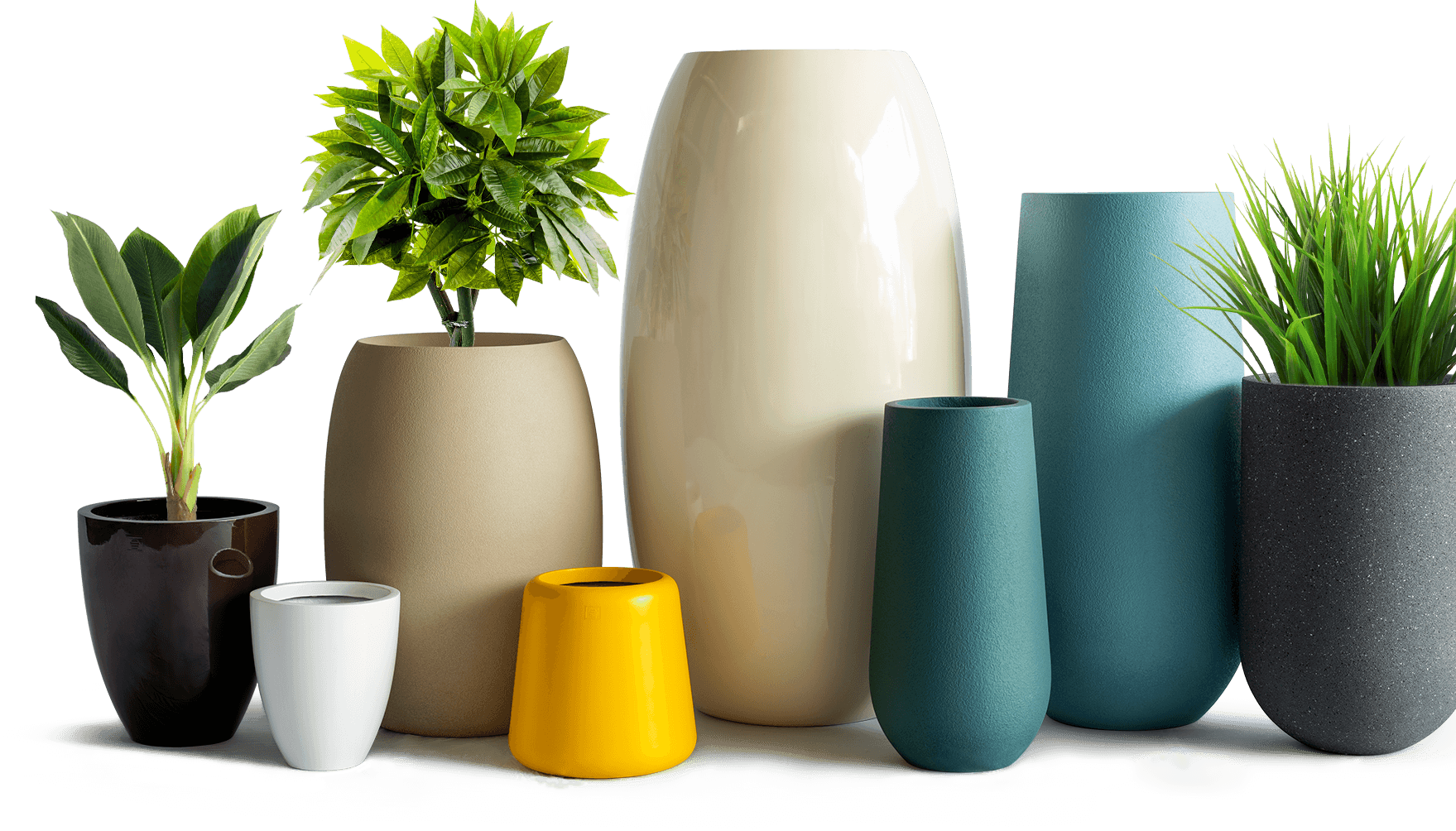 Large, Tall & small designer planters placed besides each other