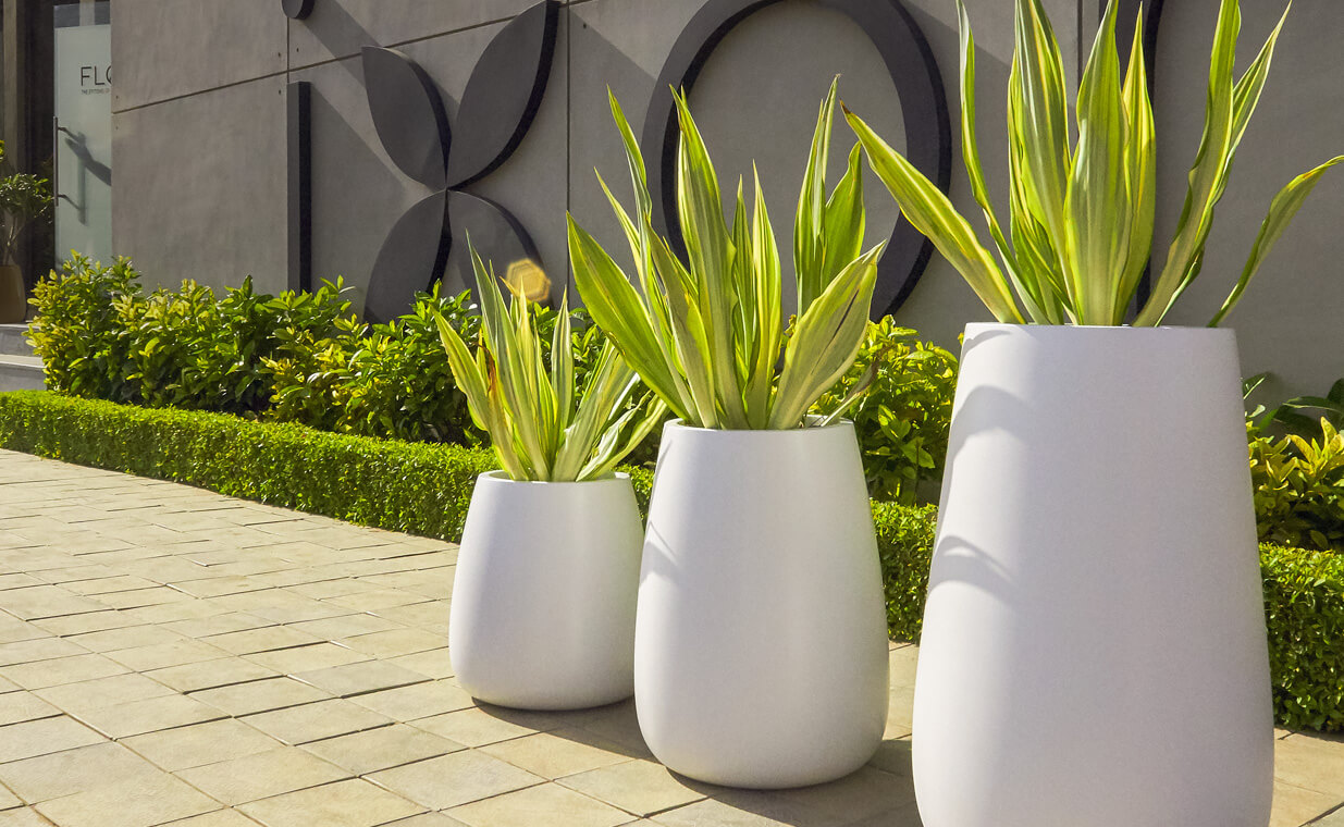 Buy modern plant pots Explore Outdoor planters Bonasila