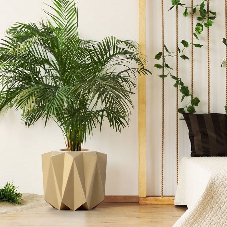 Amp Up Your Home Decor With These Cool Fiberglass Planters That Are Perfect For The Monsoons!
