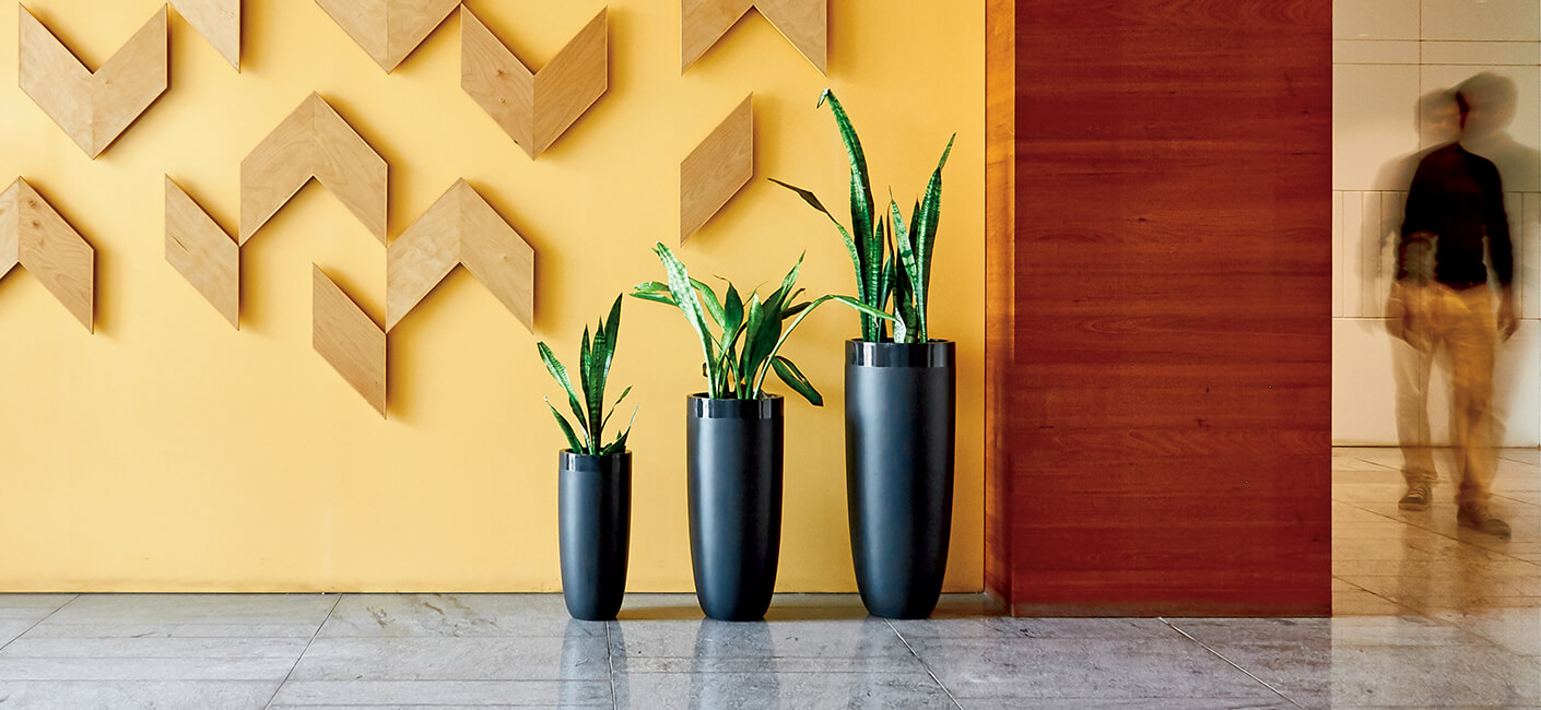 Use indoor flower pots to spruce up your home decor; here’s how