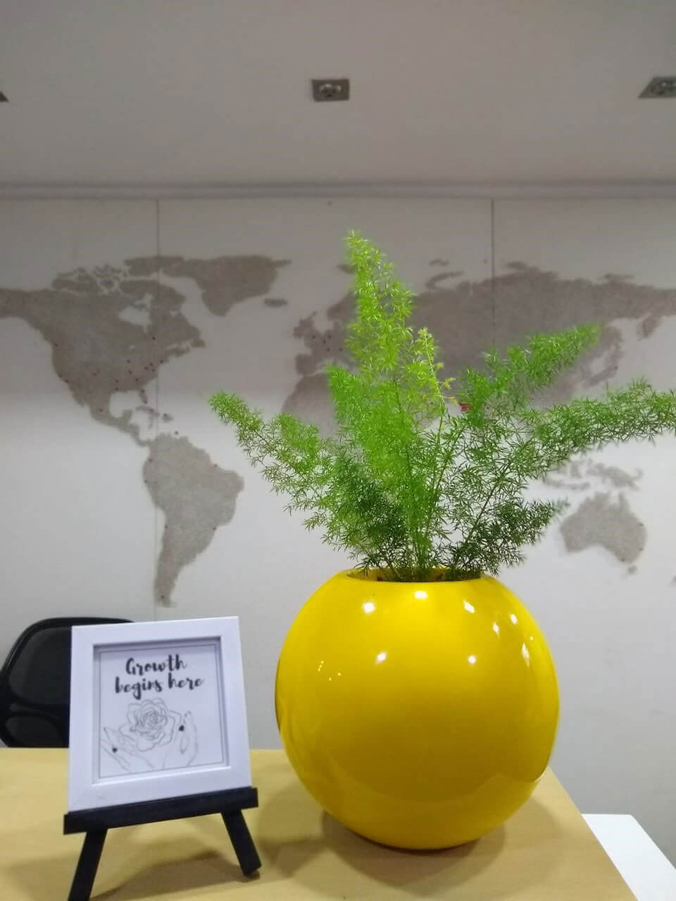 stylish indoor planters