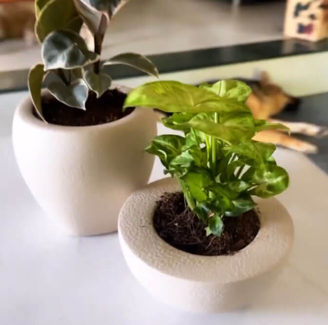 designer garden pots