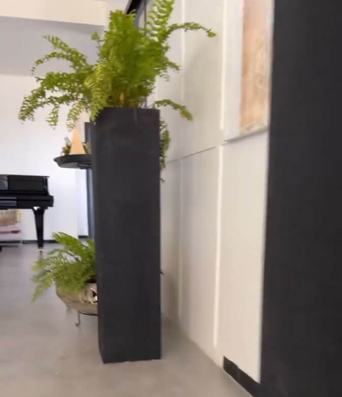 fancy indoor plant pots