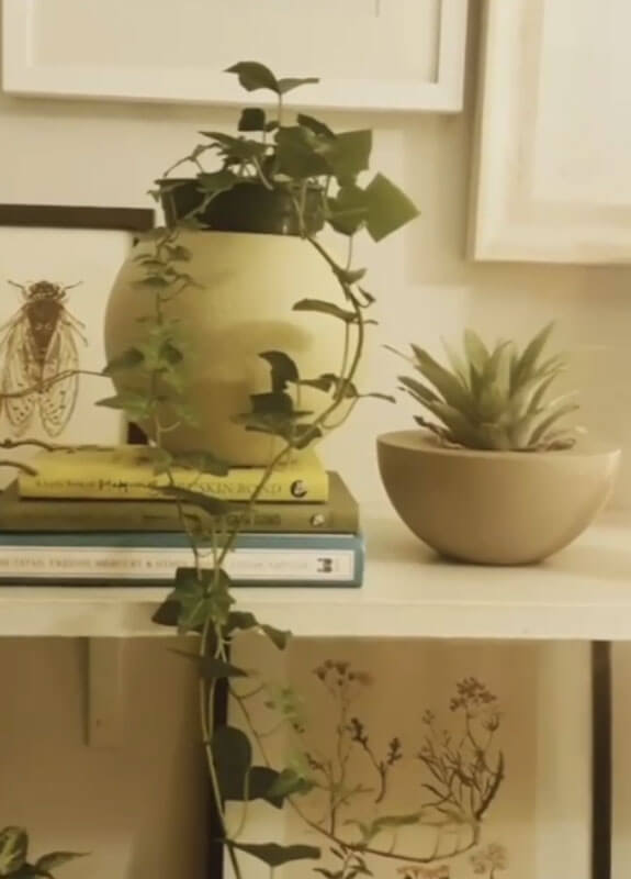 fancy indoor plant pots