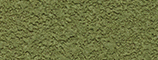 Jungle Moss